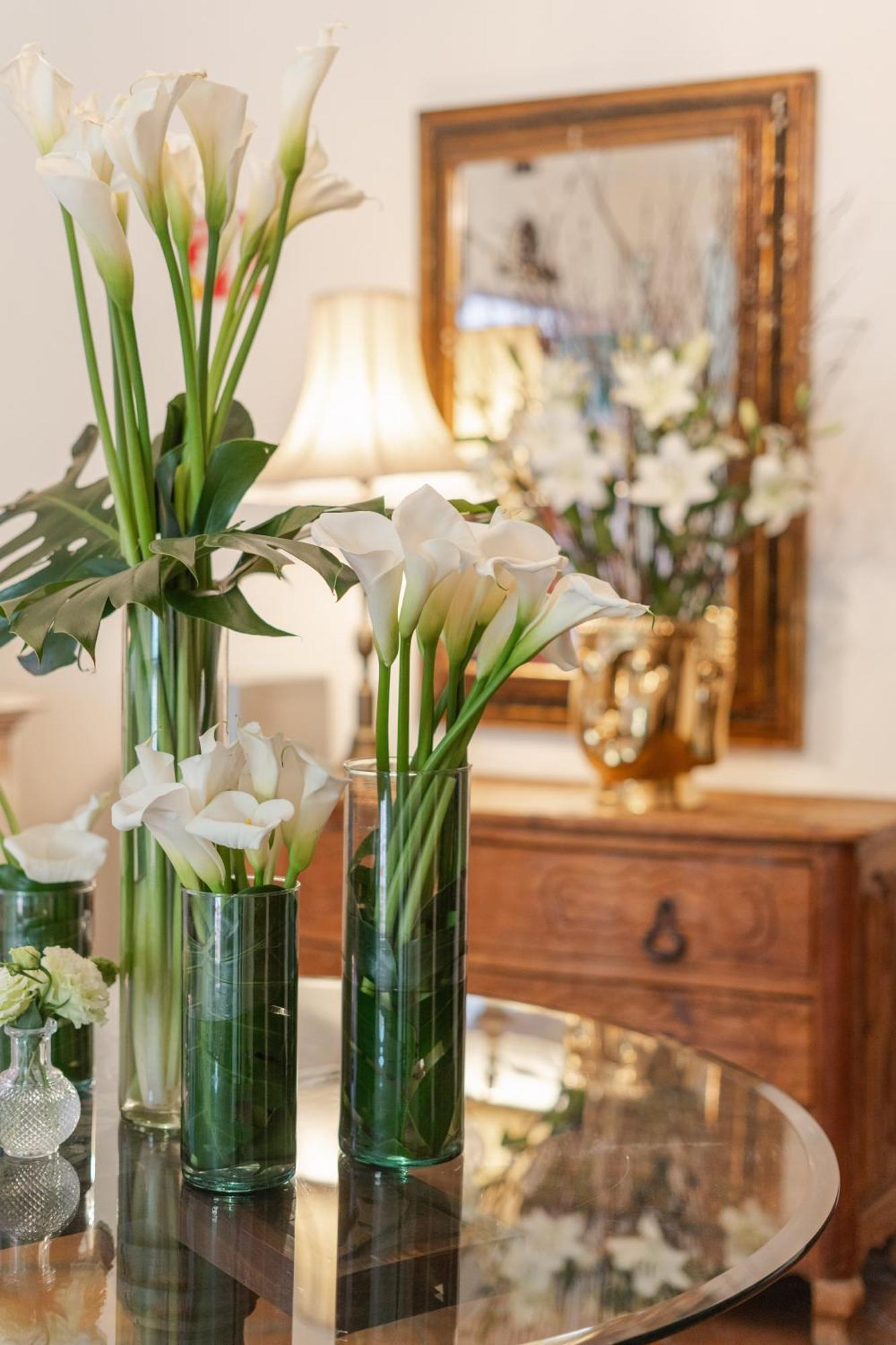 Villa Ganz Boutique Hotel Guadalajara Zewnętrze zdjęcie